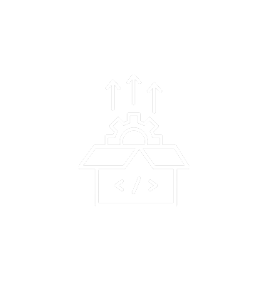 Supplier development